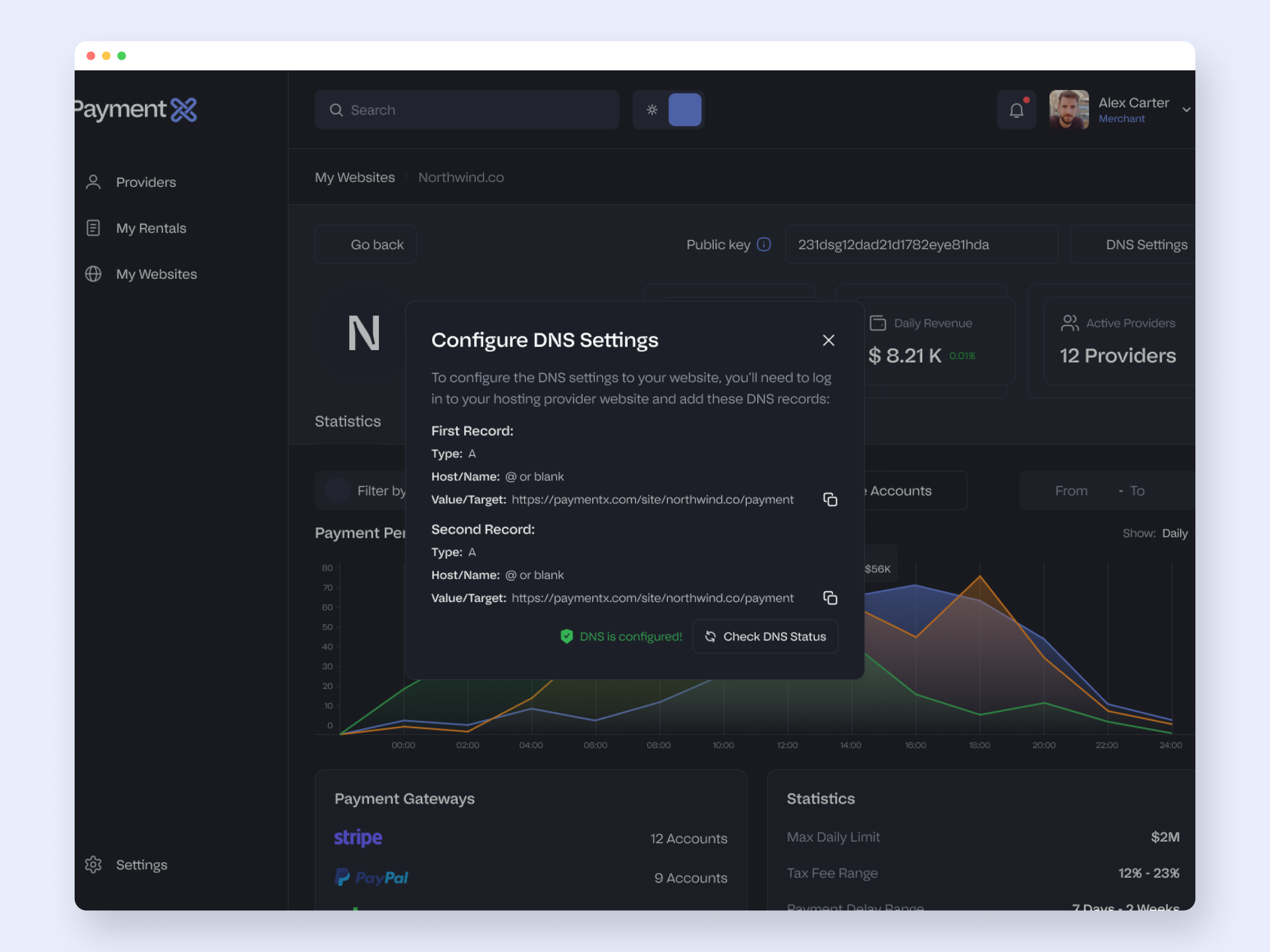 The DNS settings modal in dark mode